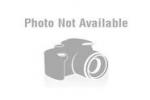 Go to Free games girls Free games girls logo